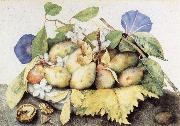 Giovanna Garzoni Plate of Plums with Jasmine and Nuts oil painting picture wholesale